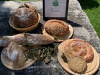 Backen mit Hanfmehl – Brot, Kuchen & Kekse Backen mit Hanfmehl – Brot, Kuchen & Kekse