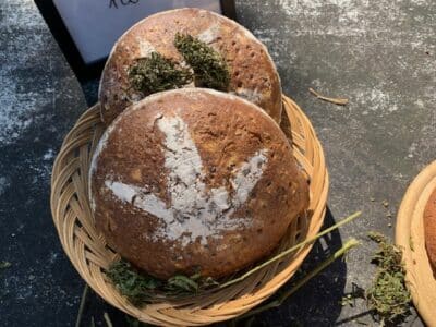 Vegane Hanf-Küche – gesund, lecker & nachhaltig