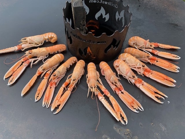 Kaisergranat Scampi - Wildfang