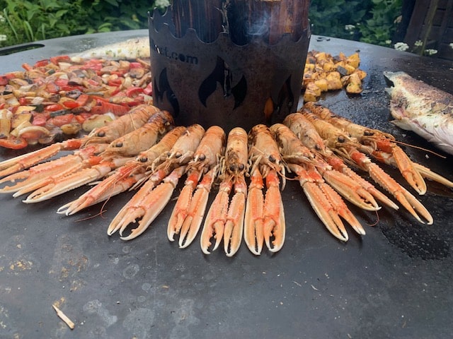 Kaisergranat Scampi - Wildfang