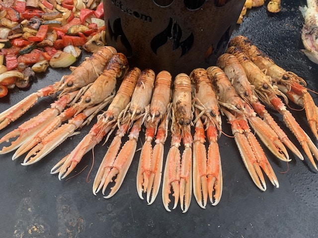 Kaisergranat Scampi - Wildfang