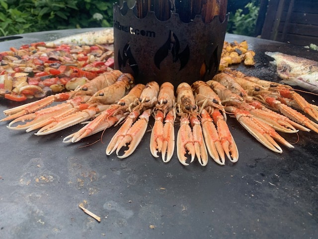 Kaisergranat Scampi - Wildfang