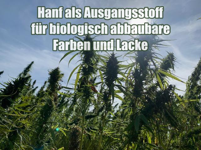 Hanf als Ausgangsstoff für biologisch abbaubare Farben und Lacke