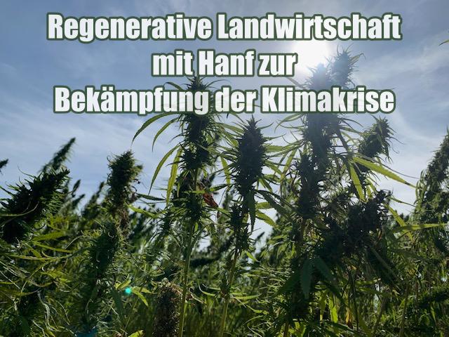 Regenerative Landwirtschaft mit Hanf zur Bekämpfung der Klimakrise