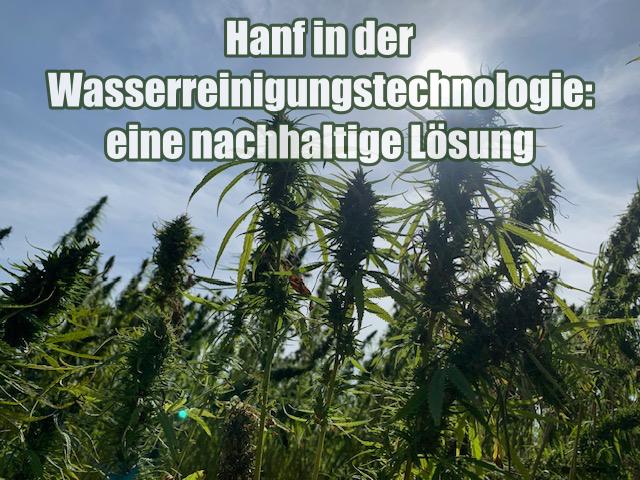 Hanf in der Wasserreinigungstechnologie: eine nachhaltige Lösung