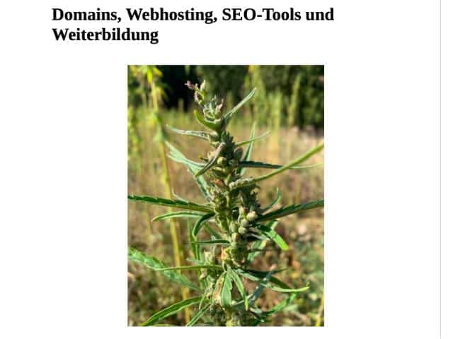 Startinformationen PDF