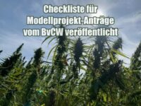 Checkliste für Modellprojekt-Anträge vom BvCW veröffentlicht
