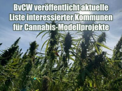 BvCW veröffentlicht aktuelle Liste interessierter Kommunen für Cannabis-Modellprojekte