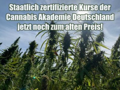 Staatlich zertifizierte Kurse der Cannabis Akademie Deutschland jetzt noch zum alten Preis!