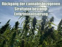 Rückgang der cannabisbezogenen Straftaten bestätigt Entkriminalisierung