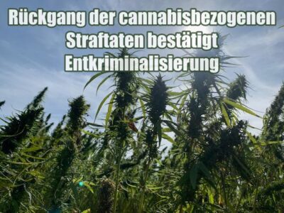 Rückgang der cannabisbezogenen Straftaten bestätigt Entkriminalisierung