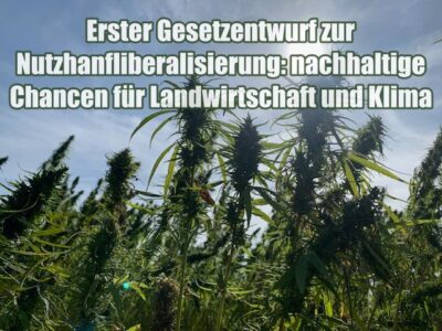 Erster Gesetzentwurf zur Nutzhanfliberalisierung: nachhaltige Chancen für Landwirtschaft und Klima