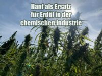 Hanf als Ersatz für Erdöl in der chemischen Industrie