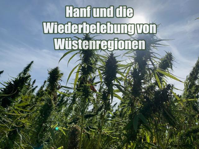 Hanf und die Wiederbelebung von Wüstenregionen