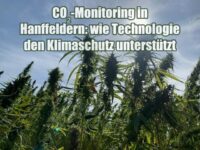 CO₂-Monitoring in Hanffeldern: wie Technologie den Klimaschutz unterstützt