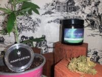 Hanfgarten: ein Paradies für Hanfliebhaber und Anbauenthusiasten