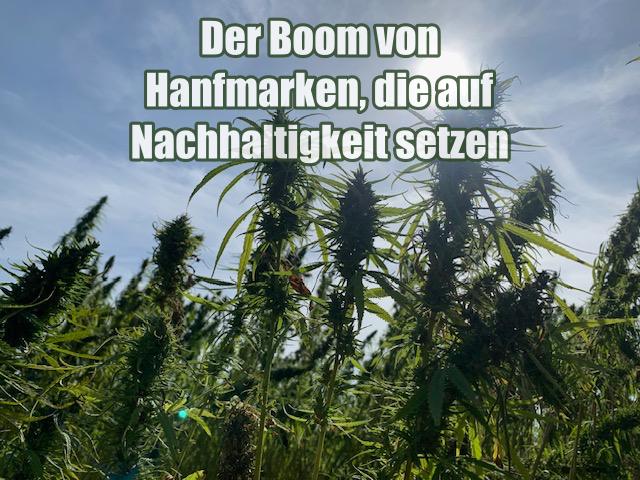 Der Boom von Hanfmarken, die auf Nachhaltigkeit setzen