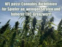 NFL passt Cannabis-Richtlinien für Spieler an: weniger Strafen und höherer THC-Grenzwert!