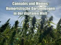 Cannabis und Memes: Humoristische Darstellungen in der digitalen Welt
