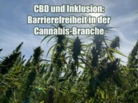 CBD und Inklusion: Barrierefreiheit in der Cannabis-Branche