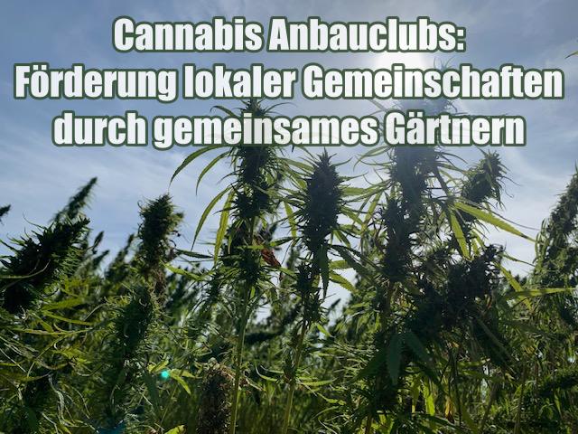 Cannabis Anbauclubs: Förderung lokaler Gemeinschaften durch gemeinsames Gärtnern