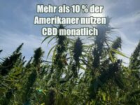 Mehr als 10 % der Amerikaner nutzen CBD monatlich Mehr als 10 % der Amerikaner nutzen CBD monatlich