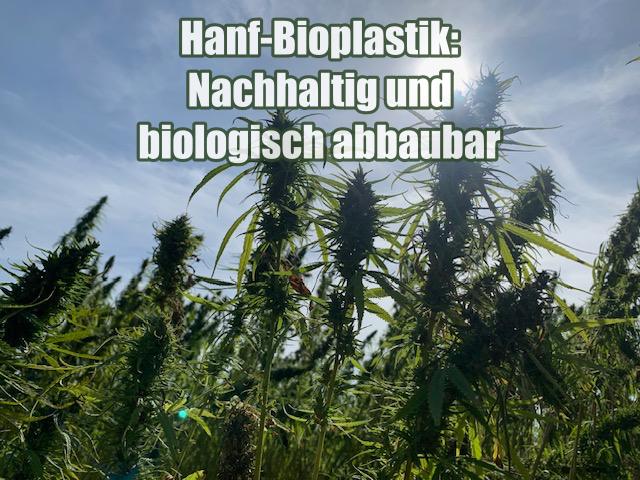 Hanf-Bioplastik: Nachhaltig und biologisch abbaubar