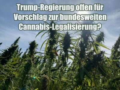 Trump-Regierung offen für Vorschlag zur bundesweiten Cannabis-Legalisierung?