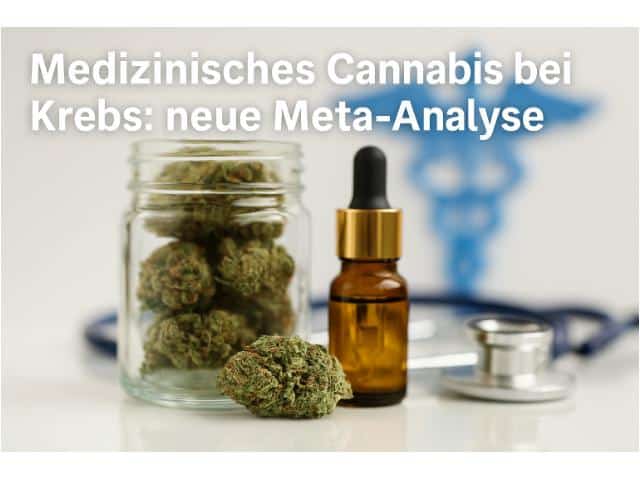 Medizinisches Cannabis bei Krebs: neue Meta-Analyse