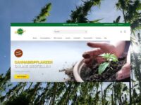 Urban Gardening neu gedacht: Bushdoctor für Grow-Fans