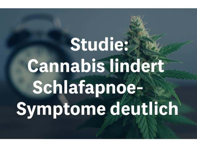 Studie: Cannabis verbessert Schlafqualität bei Schlafapnoe-Patienten deutlich