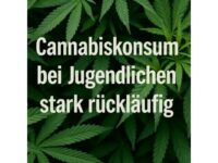 Frankfurt: Jugendliche konsumieren immer weniger Cannabis