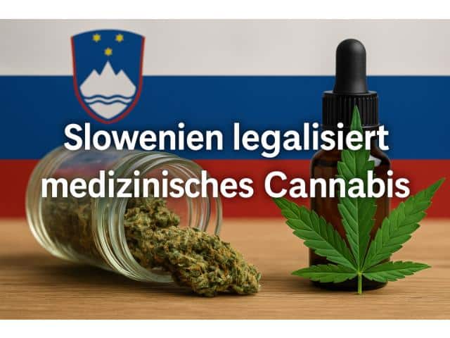 Slowenien legalisiert medizinisches Cannabis - Freizeitkonsum bald legal?