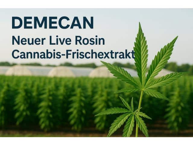 DEMECAN: Neuer Live Rosin Cannabis-Frischextrakt
