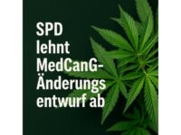 Statement von Carmen Wegge - SPD lehnt MedCanG-Änderungsentwurf ab