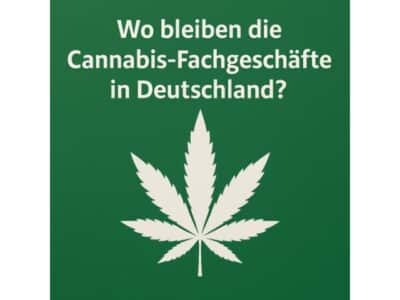 Wo bleiben die Cannabis-Fachgeschäfte in Deutschland?