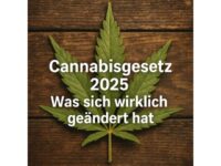 Cannabisgesetz 2025: Was sich wirklich geändert hat