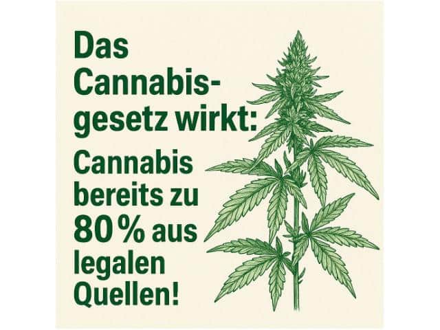 Das Cannabisgesetz wirkt: Cannabis bereits zu 80% aus legalen Quellen!