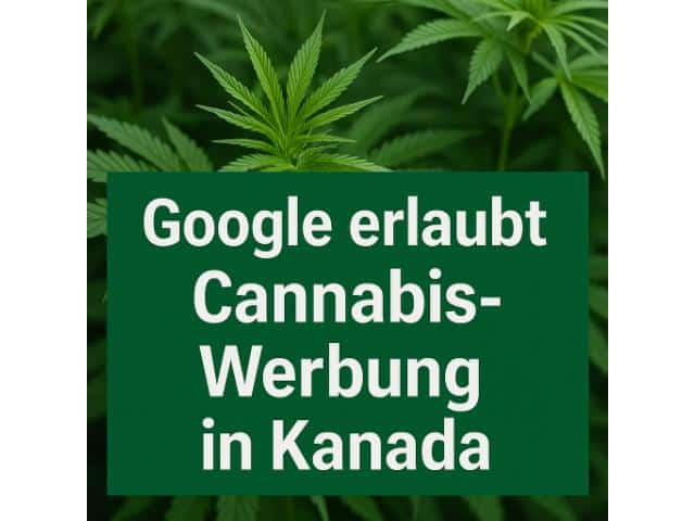 Google startet Pilotprojekt für Cannabis-Werbung in Kanada