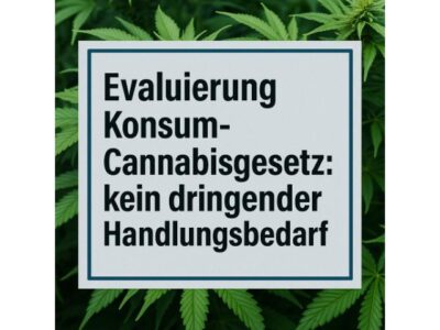 Evaluierung Konsum-Cannabisgesetz: kein dringender Handlungsbedarf