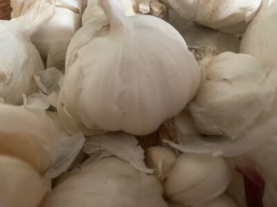Knoblauch – die uralte Wunderknolle zwischen Mythos, Medizin und Küche
