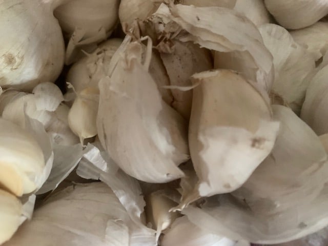 Knoblauch – die uralte Wunderknolle zwischen Mythos, Medizin und Küche