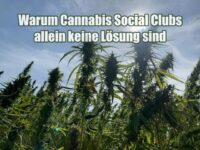 Cannabis-Fachgeschäfte jetzt! Warum Cannabis Social Clubs allein keine Lösung sind Cannabis-Fachgeschäfte jetzt! Warum Cannabis Social Clubs allein keine Lösung sind