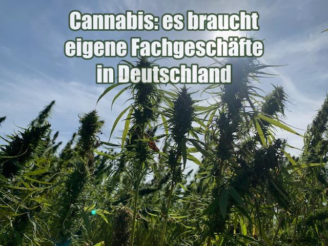 Cannabis: es braucht eigene Fachgeschäfte in Deutschland
