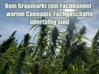 Vom Graumarkt zum Fachhandel – warum Cannabis-Fachgeschäfte überfällig sind Vom Graumarkt zum Fachhandel – warum Cannabis-Fachgeschäfte überfällig sind