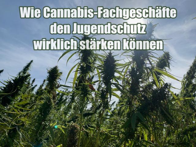 Wie Cannabis-Fachgeschäfte den Jugendschutz wirklich stärken können