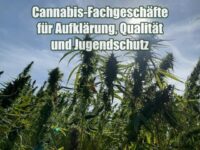 Wie Cannabis-Fachgeschäfte für Aufklärung, Qualität und Jugendschutz sorgen können