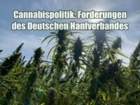 Cannabispolitik: Forderungen des Deutschen Hanfverbandes zur Weiterentwicklung Cannabispolitik: Forderungen des Deutschen Hanfverbandes
