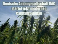Deutsche Anbaugesellschaft DAG startet jetzt modernen Cannabis-Anbau