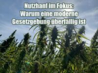 Nutzhanf im Fokus: Warum eine moderne Gesetzgebung überfällig ist